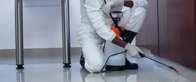 مكافحة-الحشرات