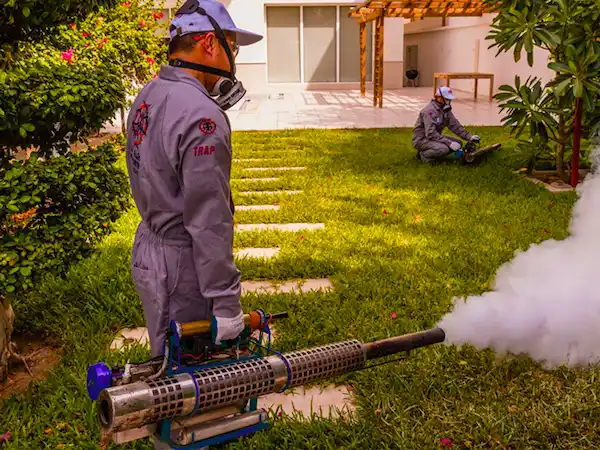 شركة مكافحة الحشرات – الخير والصفاء كلين