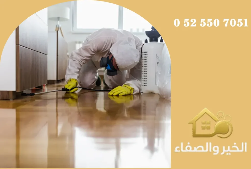 شركة مكافحة حشرات في دبي