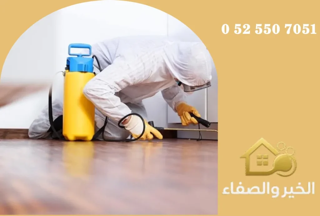 شركة مكافحة حشرات في دبي