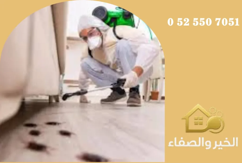شركة مكافحة حشرات في دبي