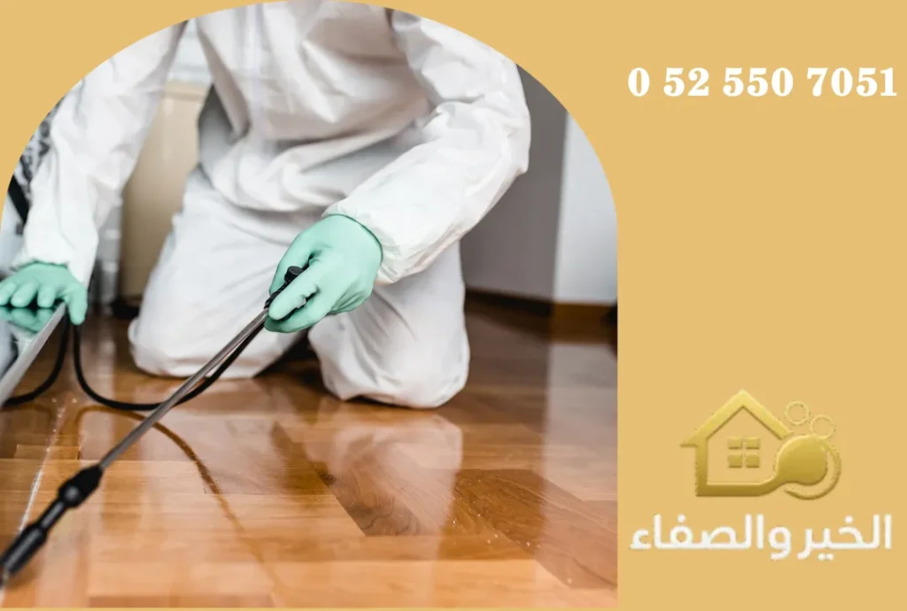 شركة مكافحة حشرات في عجمان