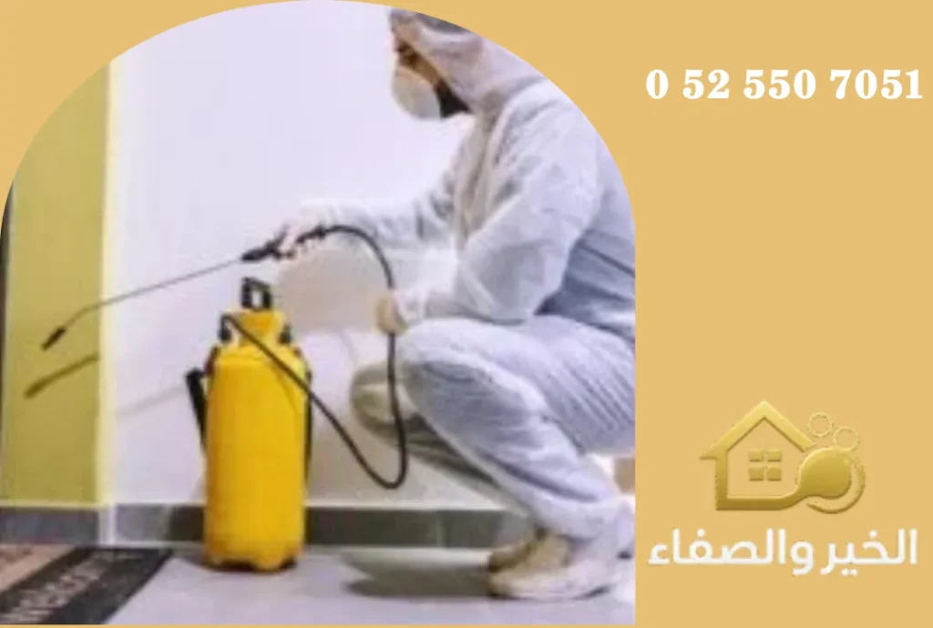 شركة مكافحة حشرات في عجمان