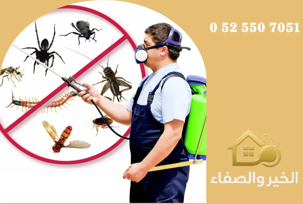شركة مكافحة حشرات في عجمان