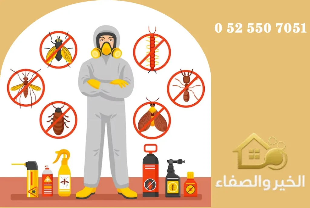 شركة مكافحة حشرات في عجمان
