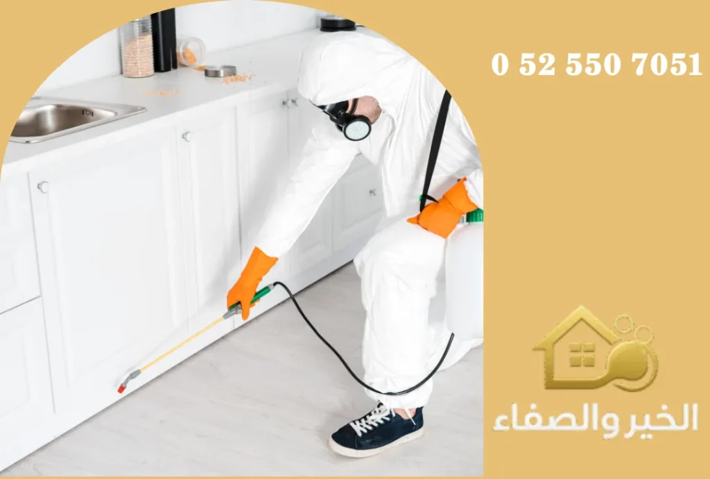 شركة مكافحة حشرات في أبوظبي
