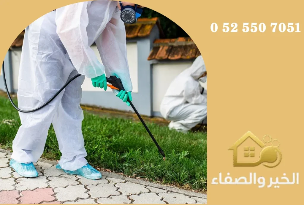 شركة مكافحة حشرات في أبوظبي