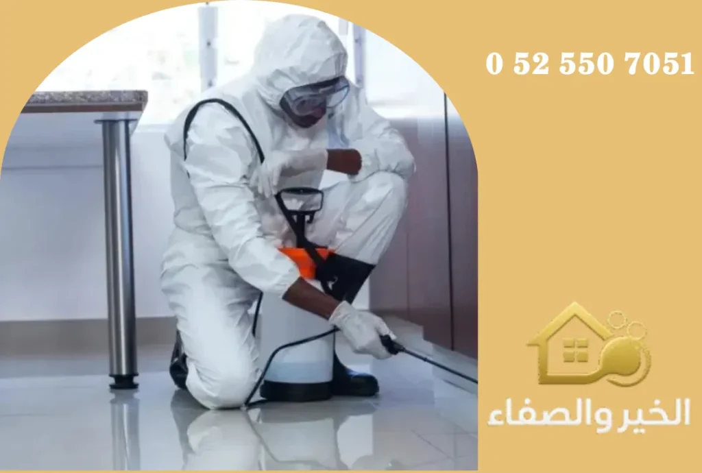 شركة مكافحة حشرات في الشارقة