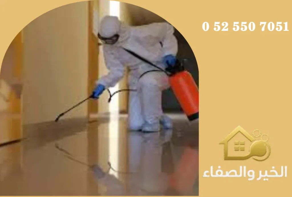 شركة مكافحة حشرات في الشارقة