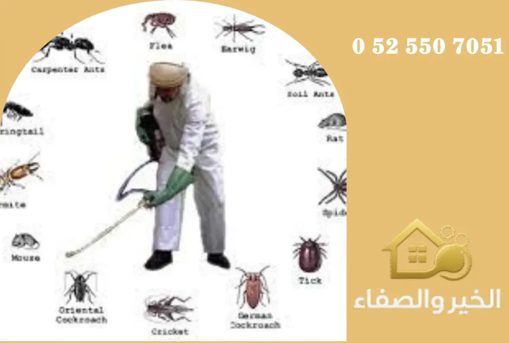 شركة مكافحة حشرات في الفجيرة