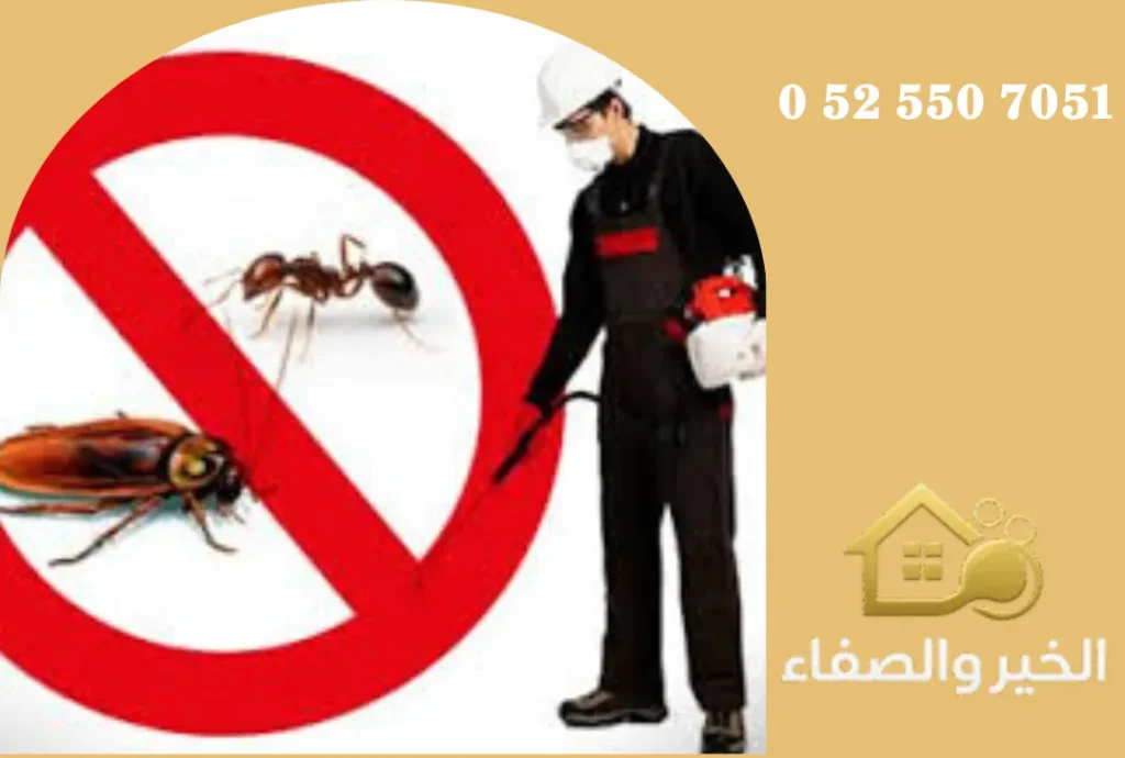 شركة مكافحة حشرات في أم القيوين