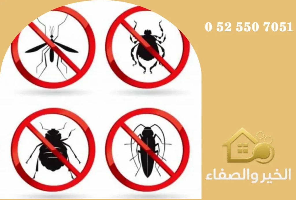 شركة مكافحة حشرات في أم القيوين