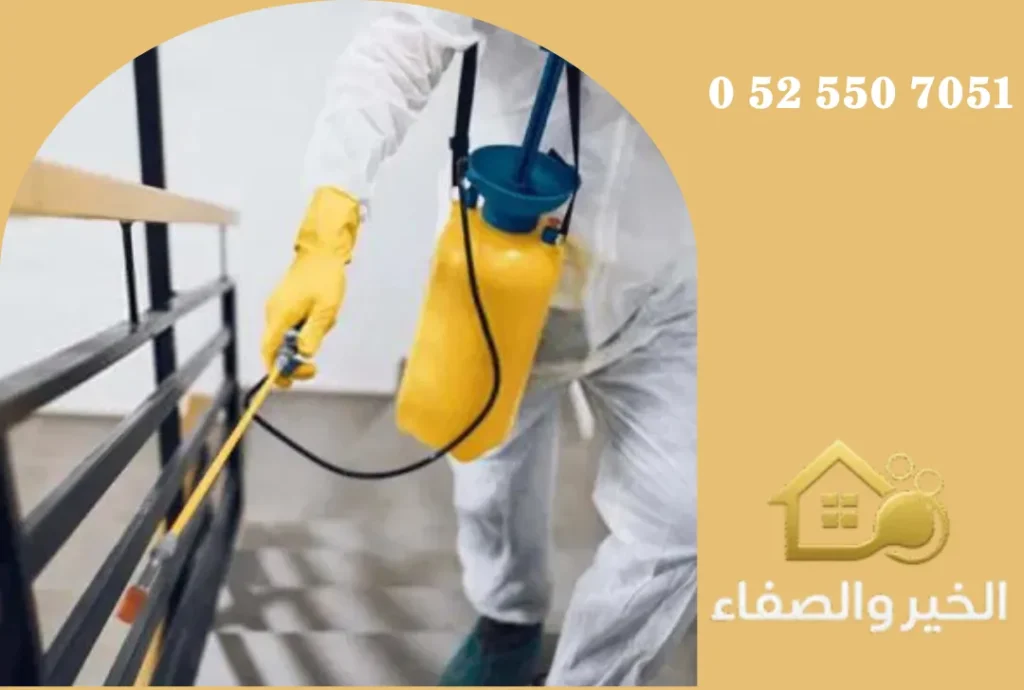 شركة مكافحة حشرات في رأس الخيمة