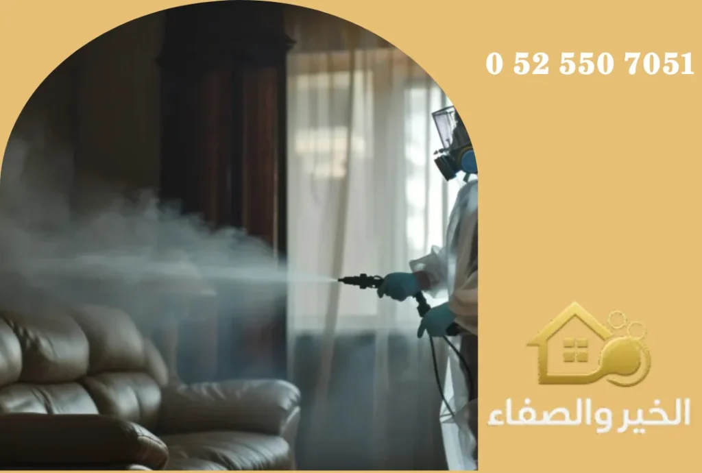 شركة مكافحة حشرات في العين