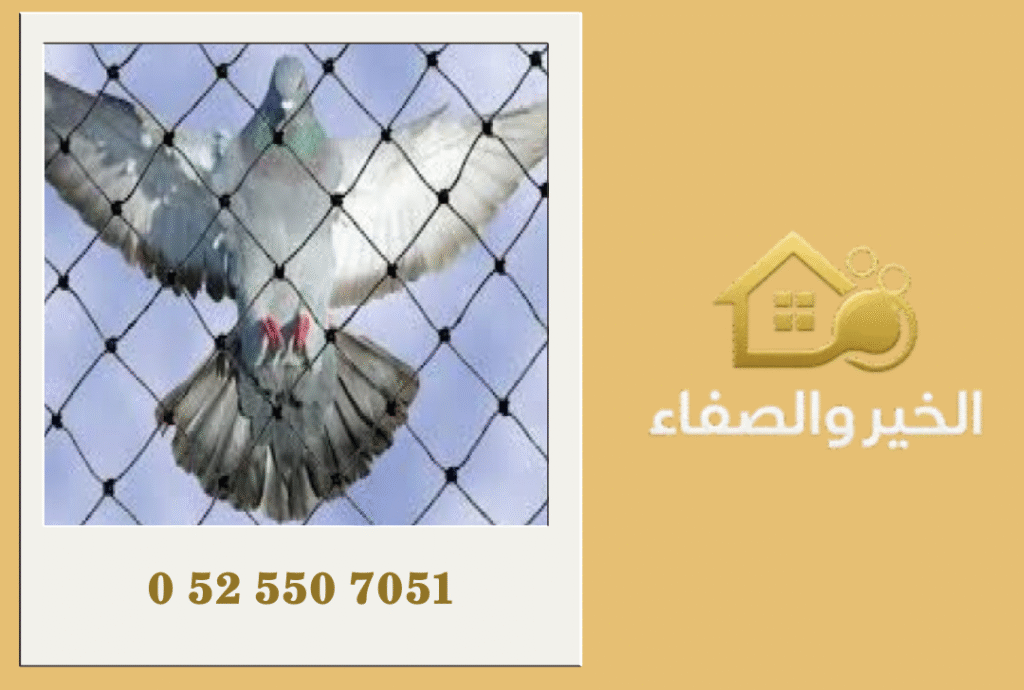 شركة مكافحة الحمام في أبوظبي