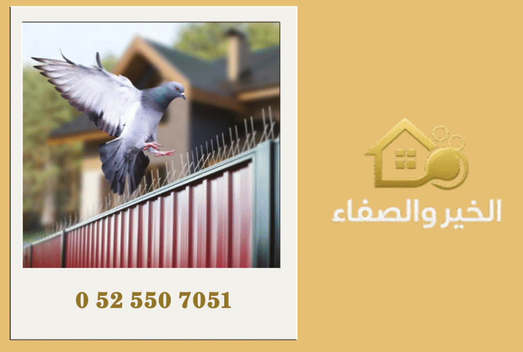 شركة مكافحة الحمام في أبوظبي