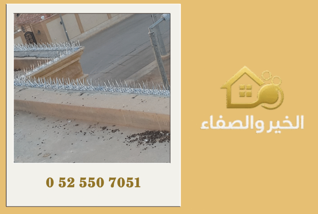 شركة مكافحة الحمام في دبي