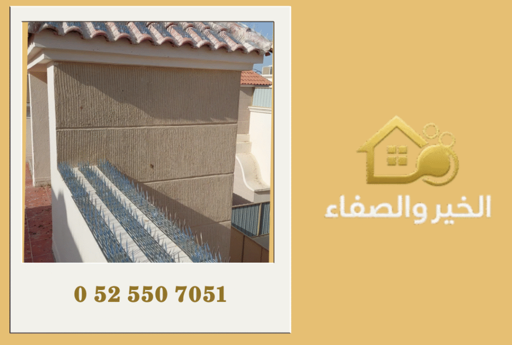 شركة مكافحة الحمام في دبي