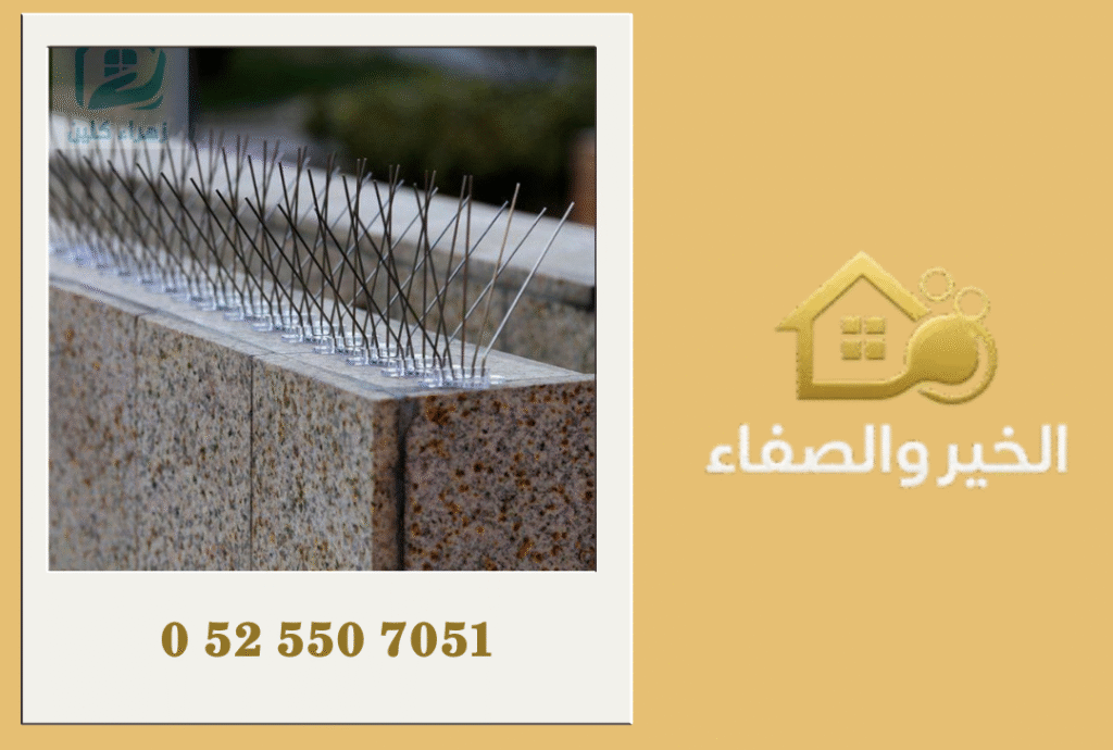 شركة مكافحة الحمام في أم القيوين