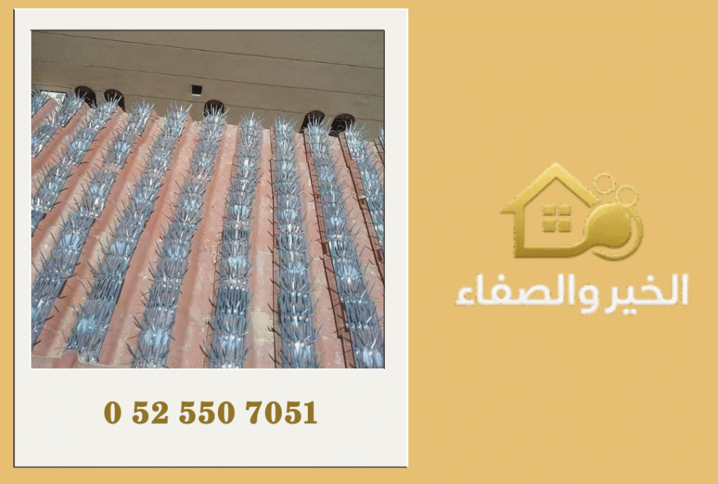 شركة مكافحة الحمام في أم القيوين